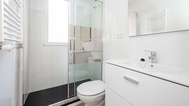 フランスのバスルーム洗剤