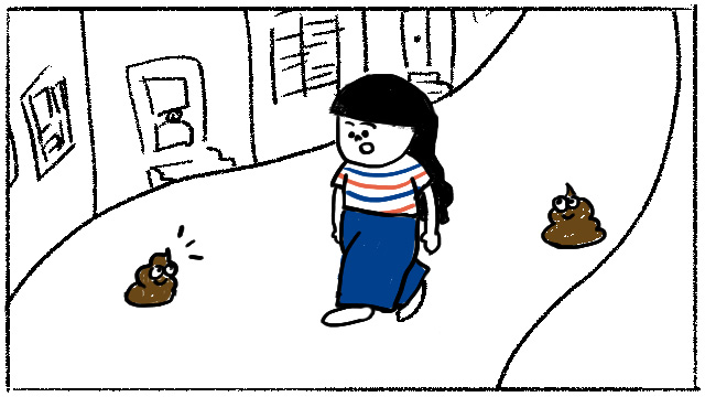 道端にたくさん落ちている犬のフン