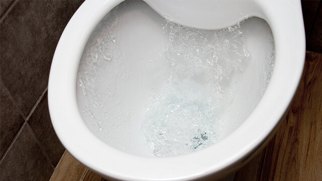 便座がないフランスのトイレ